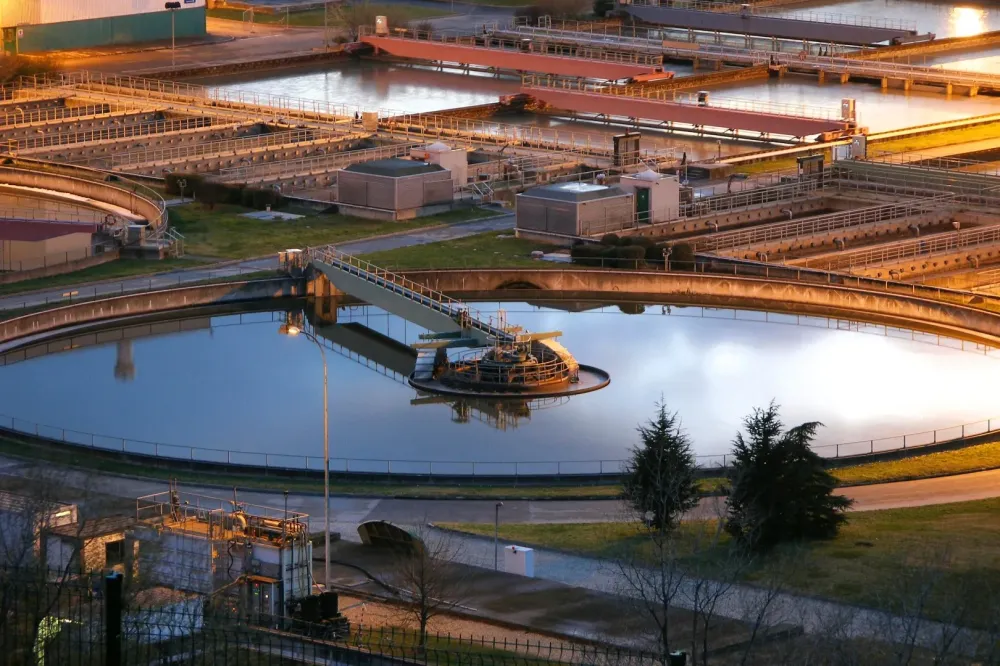 Phytoépuration près de Sainte-Maxime